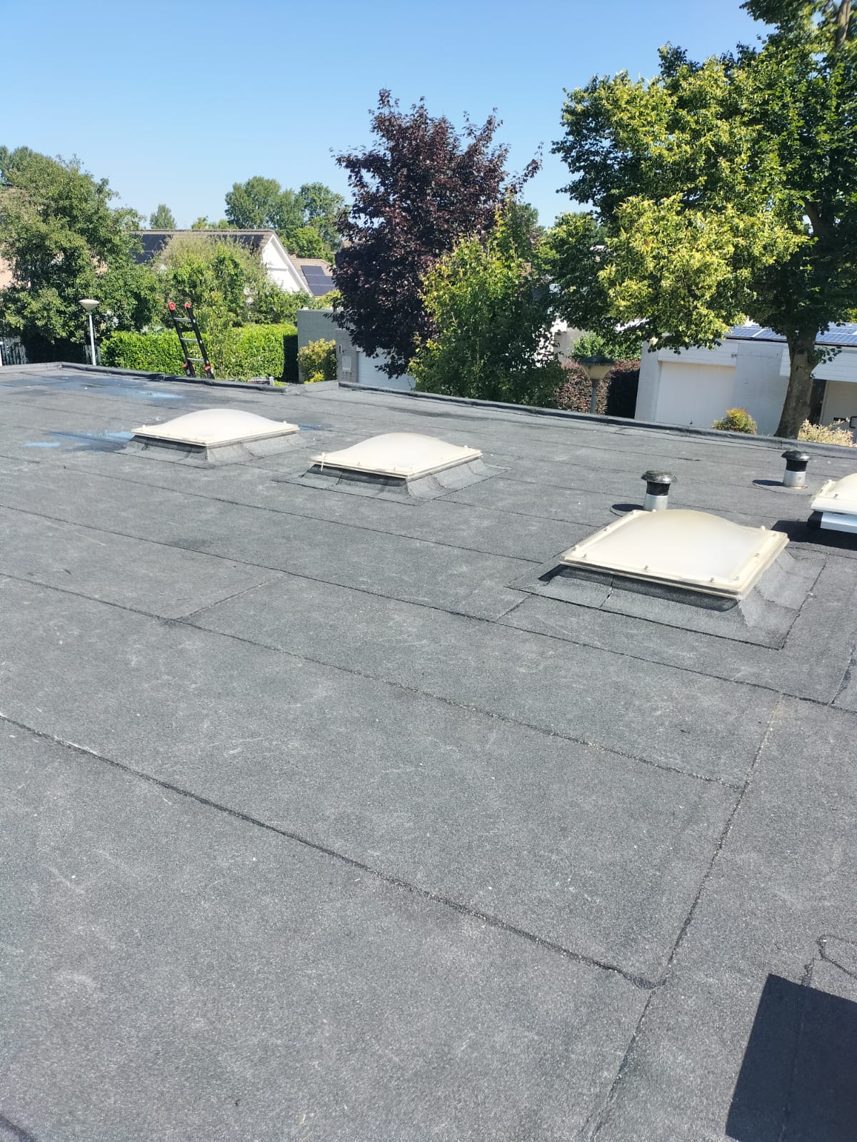 Renovatie dak         